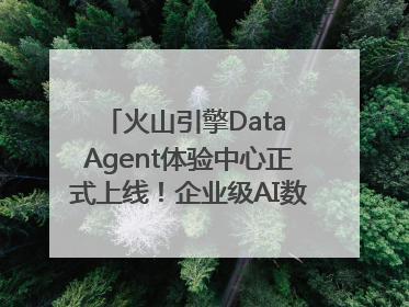 火山引擎Data Agent体验中心正式上线！企业级AI数据专家触手可及