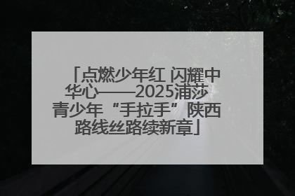 点燃少年红 闪耀中华心——2025浦莎青少年“手拉手”陕西路线丝路续新章