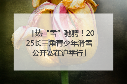 热“雪”驰骋！2025长三角青少年滑雪公开赛在沪举行