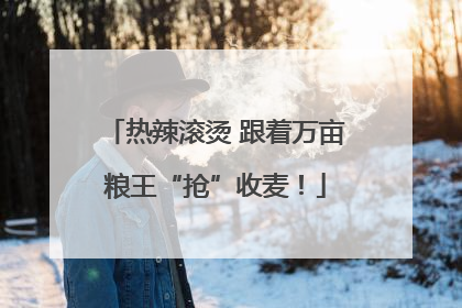 热辣滚烫 跟着万亩粮王“抢”收麦！