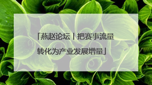 燕赵论坛丨把赛事流量转化为产业发展增量
