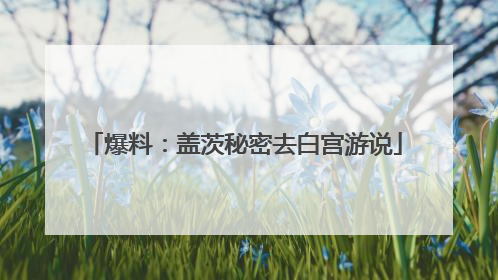 爆料：盖茨秘密去白宫游说
