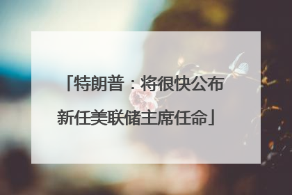 特朗普：将很快公布新任美联储主席任命