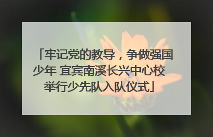 牢记党的教导，争做强国少年 宜宾南溪长兴中心校举行少先队入队仪式