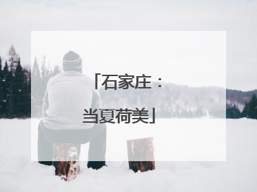 石家庄：当夏荷美