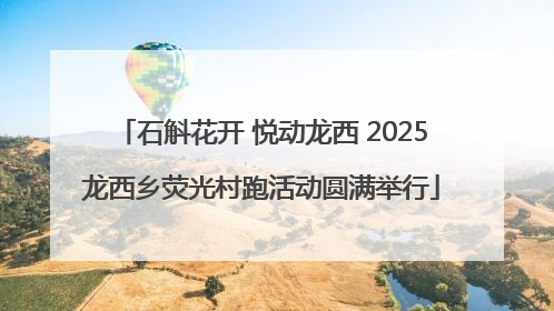 石斛花开 悦动龙西 2025龙西乡荧光村跑活动圆满举行