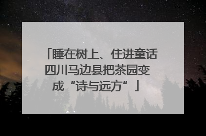 睡在树上、住进童话 四川马边县把茶园变成“诗与远方”