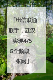 电信联通联手，武汉实现4/5G全频段一张网