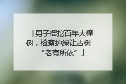 男子擅挖百年大樟树，检察护绿让古树“老有所依”