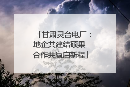 甘肃灵台电厂：地企共建结硕果 合作共赢启新程