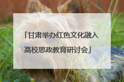 甘肃举办红色文化融入高校思政教育研讨会