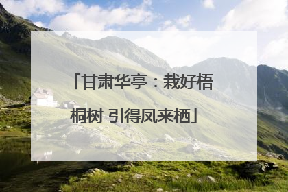 甘肃华亭：栽好梧桐树 引得凤来栖
