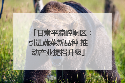 甘肃平凉崆峒区：引进蔬菜新品种 推动产业提档升级
