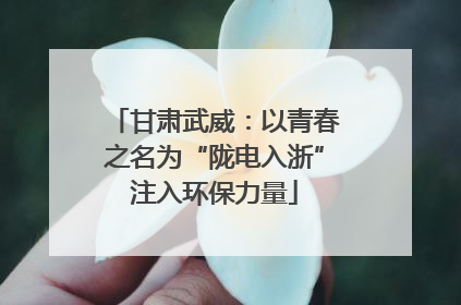甘肃武威：以青春之名为“陇电入浙”注入环保力量