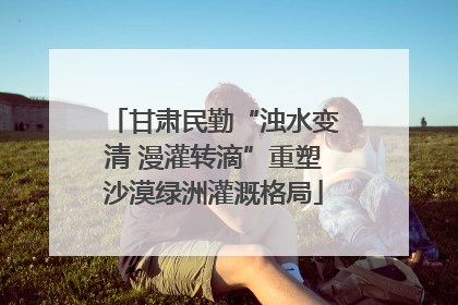 甘肃民勤“浊水变清 漫灌转滴”重塑沙漠绿洲灌溉格局
