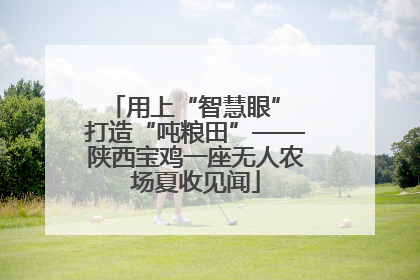 用上“智慧眼” 打造“吨粮田”——陕西宝鸡一座无人农场夏收见闻