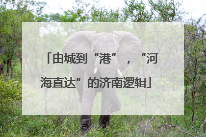 由城到“港”，“河海直达”的济南逻辑