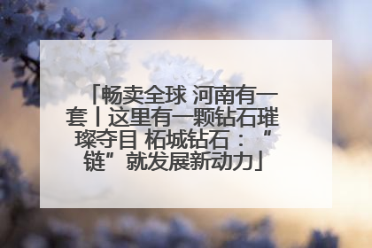 畅卖全球 河南有一套丨这里有一颗钻石璀璨夺目 柘城钻石：“链”就发展新动力