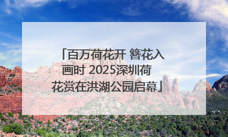 百万荷花开 簪花入画时 2025深圳荷花赏在洪湖公园启幕