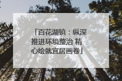百花湖镇：纵深推进环境整治 精心绘就宜居画卷
