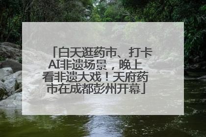 白天逛药市、打卡AI非遗场景，晚上看非遗大戏！天府药市在成都彭州开幕