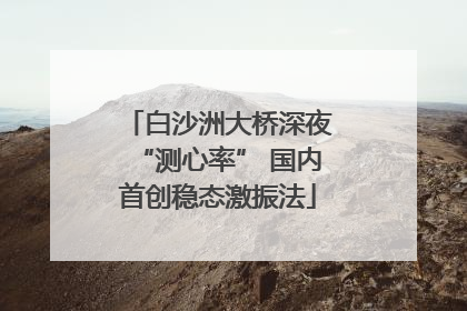 白沙洲大桥深夜“测心率” 国内首创稳态激振法