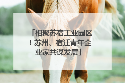 相聚苏宿工业园区！苏州、宿迁青年企业家共谋发展