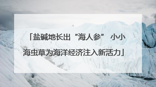 盐碱地长出“海人参” 小小海虫草为海洋经济注入新活力