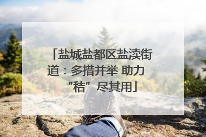 盐城盐都区盐渎街道：多措并举 助力“秸”尽其用