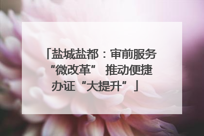 盐城盐都：审前服务“微改革” 推动便捷办证“大提升”
