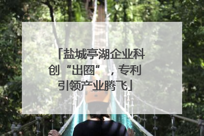 盐城亭湖企业科创“出圈”，专利引领产业腾飞