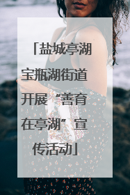 盐城亭湖宝瓶湖街道开展“善育在亭湖”宣传活动