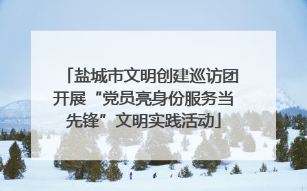 盐城市文明创建巡访团开展“党员亮身份服务当先锋”文明实践活动