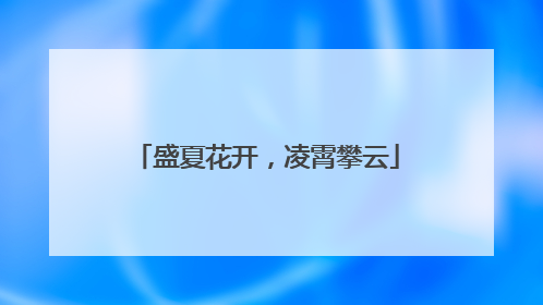 盛夏花开，凌霄攀云