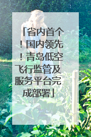 省内首个！国内领先！青岛低空飞行监管及服务平台完成部署