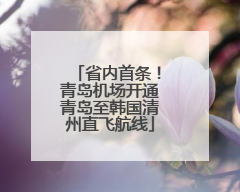 省内首条！青岛机场开通青岛至韩国清州直飞航线
