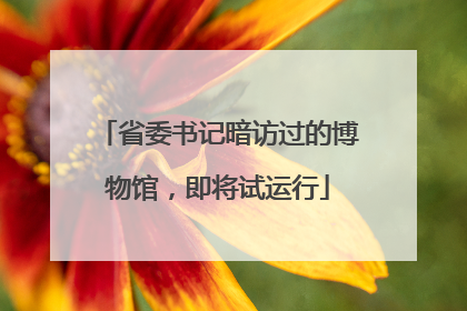 省委书记暗访过的博物馆，即将试运行