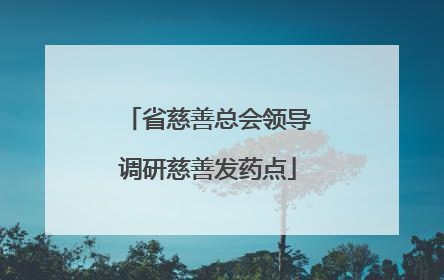省慈善总会领导调研慈善发药点