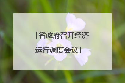 省政府召开经济运行调度会议