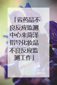 省药品不良反应监测中心来菏泽指导化妆品不良反应监测工作