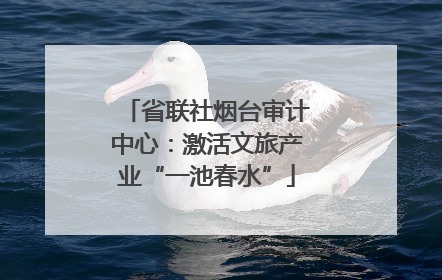 省联社烟台审计中心：激活文旅产业“一池春水”