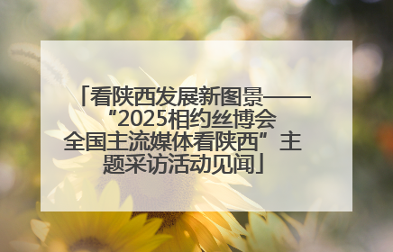 看陕西发展新图景——“2025相约丝博会 全国主流媒体看陕西”主题采访活动见闻