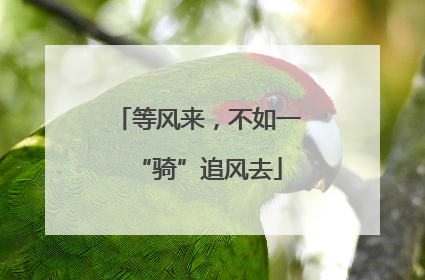等风来，不如一“骑”追风去