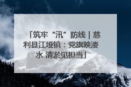 筑牢“汛”防线｜慈利县江垭镇：党旗映溇水 清淤见担当