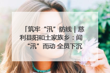 筑牢“汛”防线｜慈利县阳和土家族乡：闻“汛”而动 全员下沉筑牢防汛“安全堤”