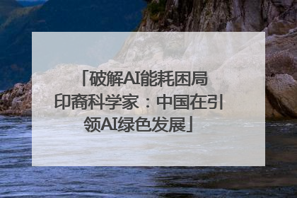 破解AI能耗困局 印裔科学家：中国在引领AI绿色发展