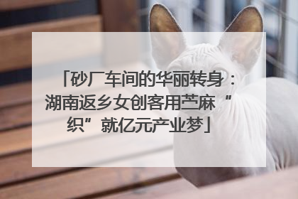 砂厂车间的华丽转身：湖南返乡女创客用苎麻“织”就亿元产业梦