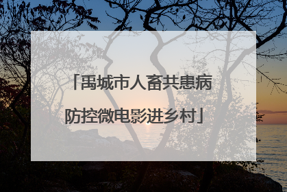 禹城市人畜共患病防控微电影进乡村
