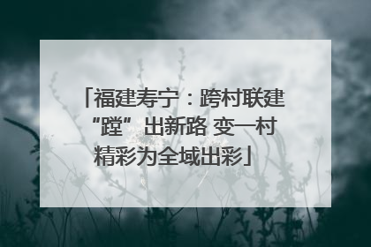 福建寿宁：跨村联建“蹚”出新路 变一村精彩为全域出彩