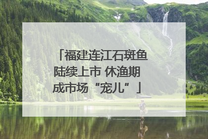 福建连江石斑鱼陆续上市 休渔期成市场“宠儿”